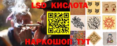стаф Новозыбков