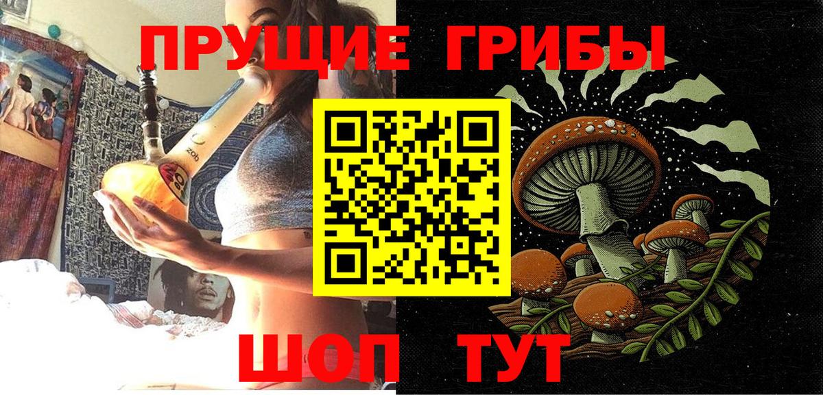 Саянск  Галлюциногенные грибы ЛСД  Вход с VPN 