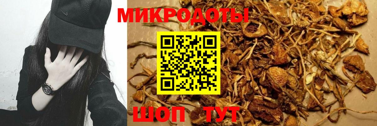 Псилоцибиновые грибы мухоморы Саянск